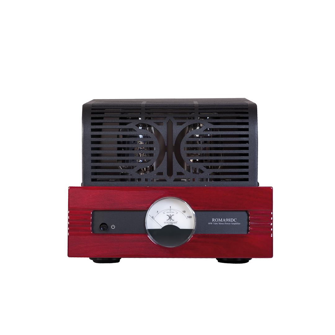 Synthesis Roma 98DC mono Power Amplifier