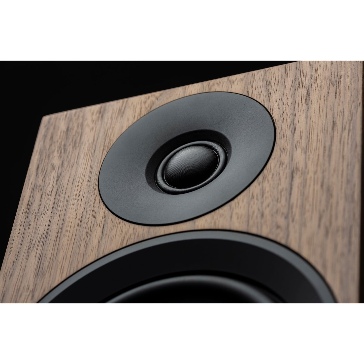 Pro-ject Speaker Box 5 E Carbon Standmount Speakers