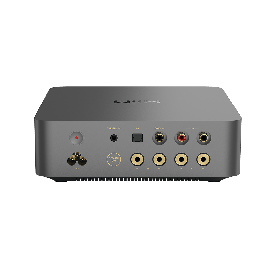 Wiim Vibelink Amplifier