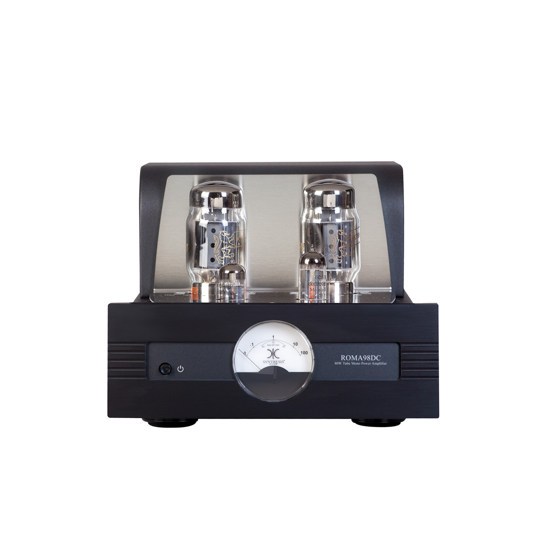 Synthesis Roma 98DC mono Power Amplifier