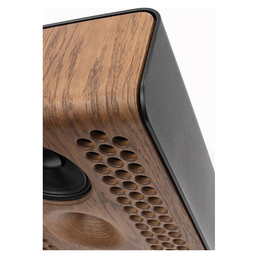 Silent Pound Challenger II Loudspeakers