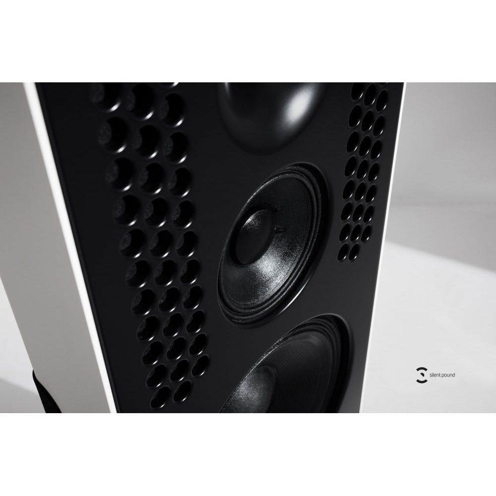 Silent Pound Challenger II Open Baffle Loudspeakers