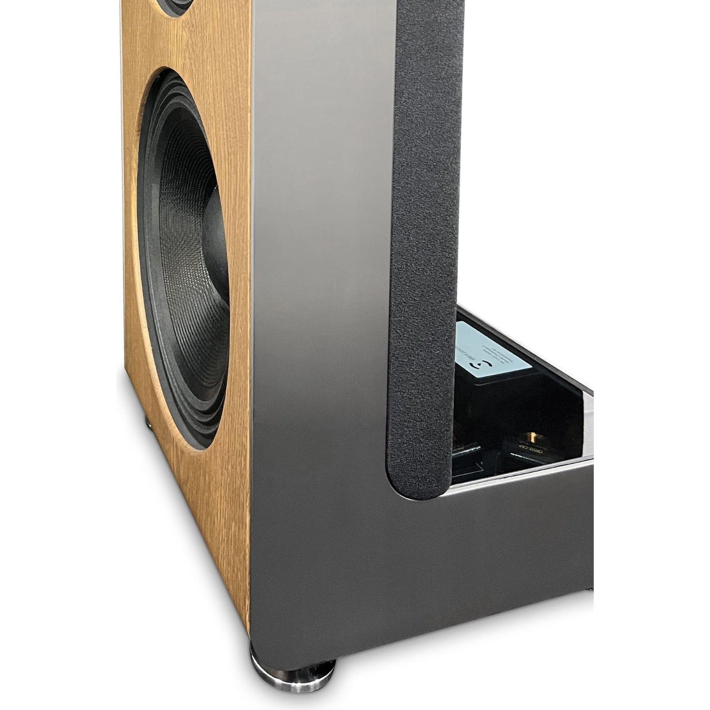 Silent Pound Challenger II Loudspeakers - Special Edition