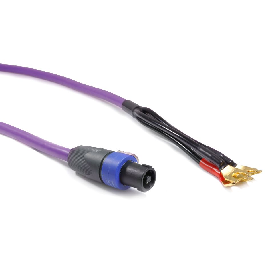Melodika Purple MDRSUB REL-compatible high-level Speakon and spade connector close-up