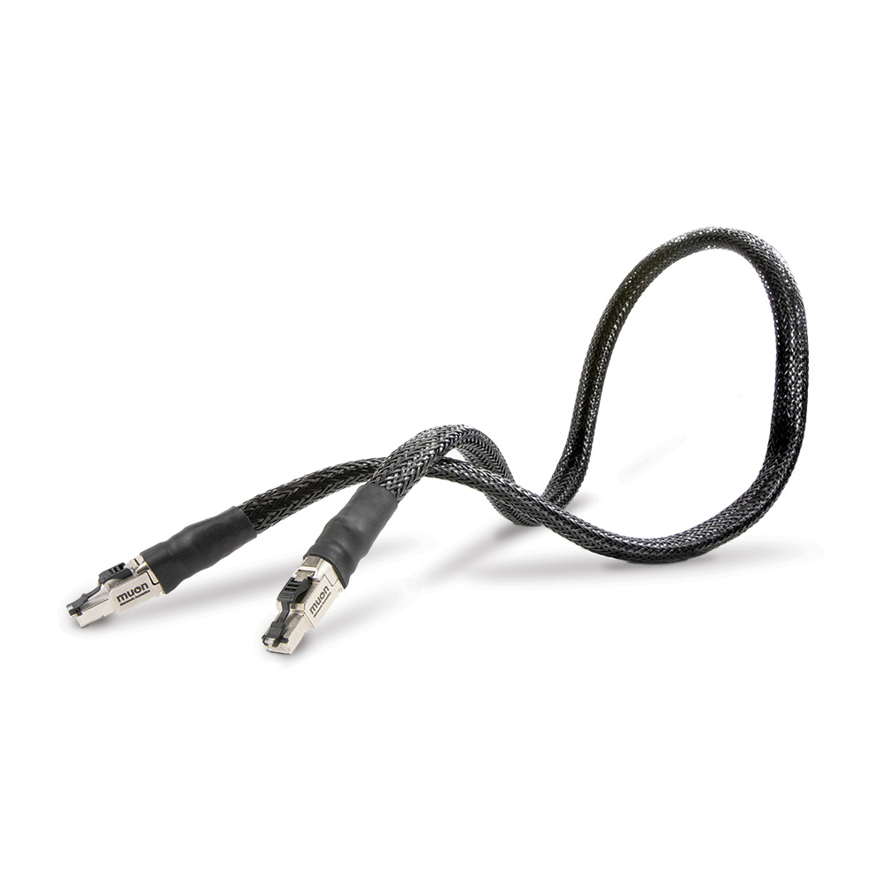 Network Acoustics Pro Ethernet Filter & Muon Pro Cable Bundle