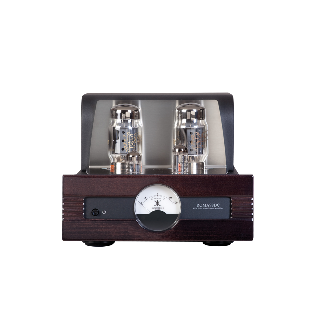 Synthesis Roma 98DC mono Power Amplifier