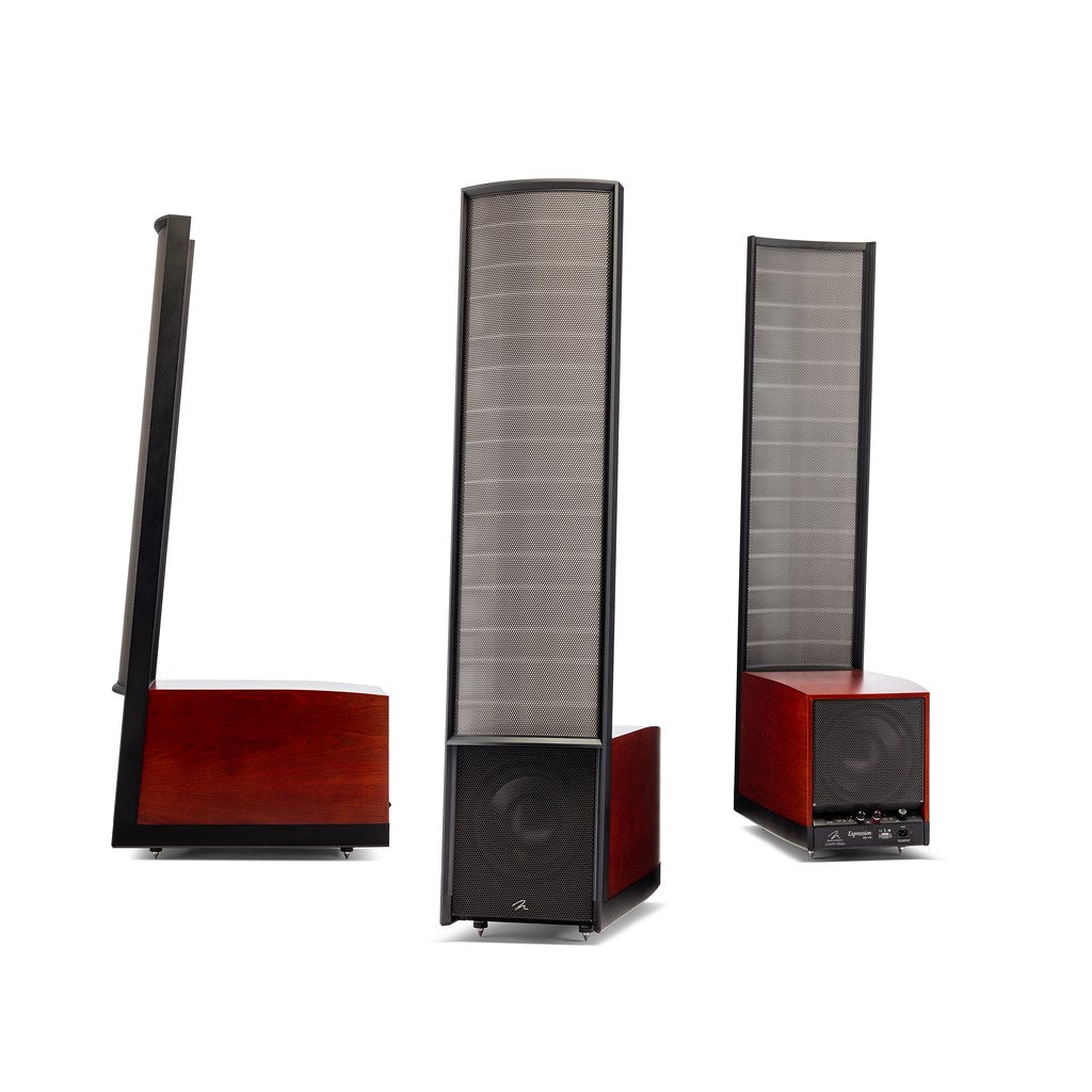 Martin Logan Expression ESL 13A Loudspeakers - Main Image