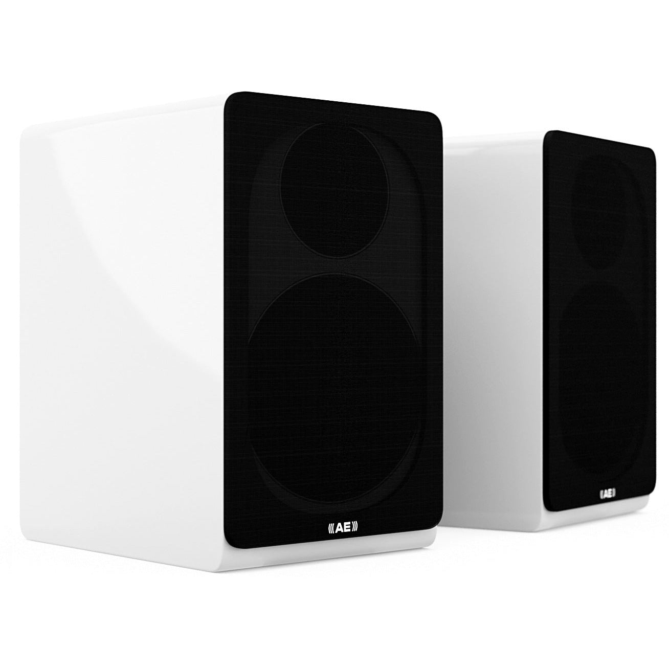 ACOUSTIC ENERGY AE300 Standmount Speakers
