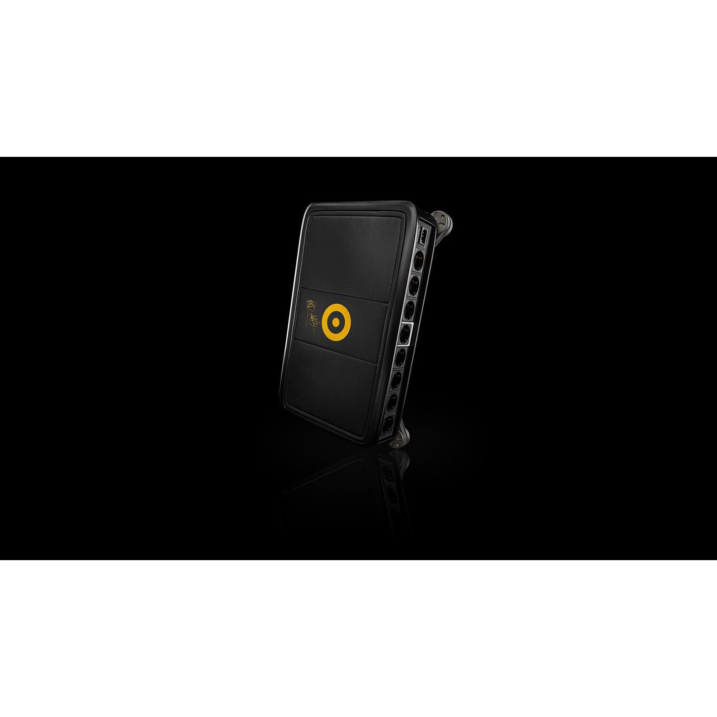 Ansuz Acoustics D-TC Gold Signature Power Distributor