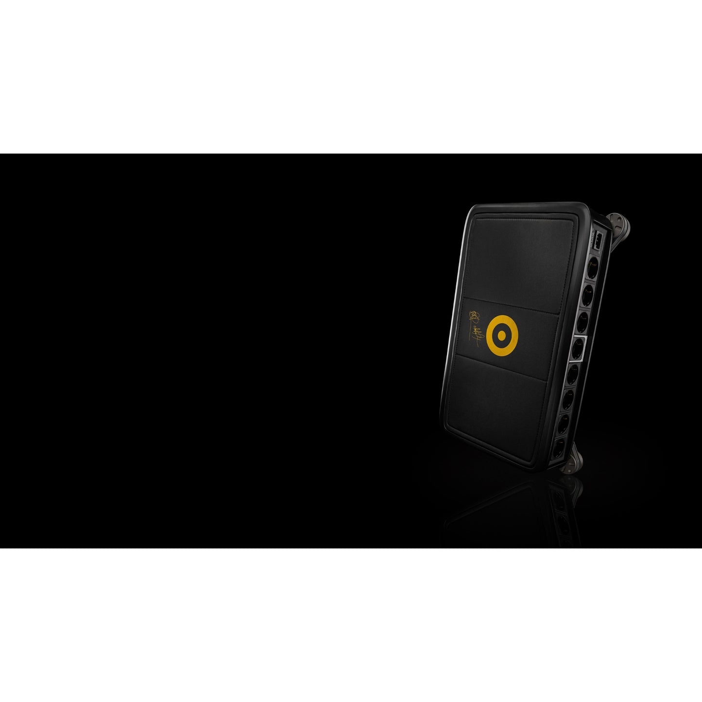 Ansuz Acoustics D-TC Gold Signature Power Distributor