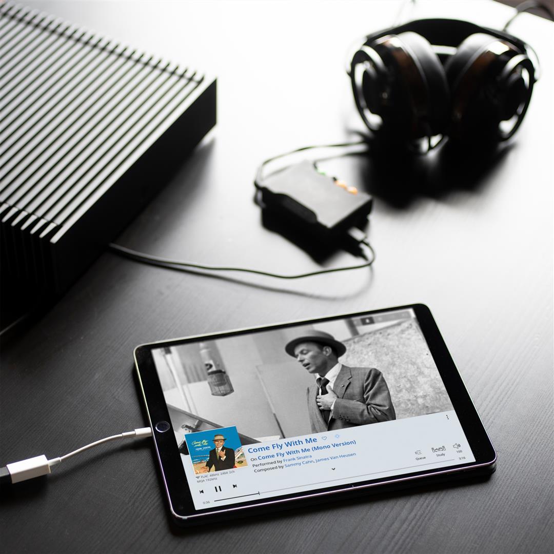 Roon Nucleus Audio Music Server