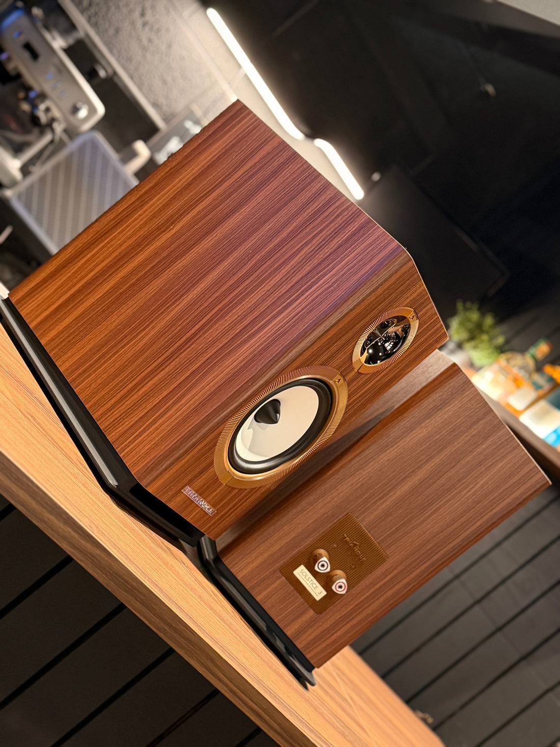 TRIANGLE Solstice 3 Review: Is This £999 Bookshelf Speaker Worth the Hype? - Video Review