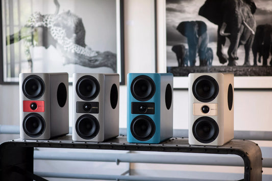 A Wolf in Sheep's Clothing: The Accuvoice Stream S3 Steals the Show at NWAS