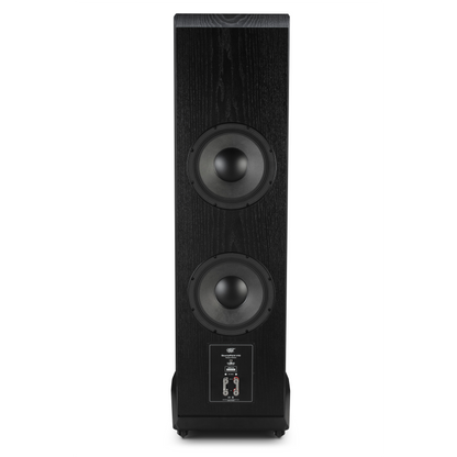 MoFi SourcePoint V10 Master Edition Floorstanding Speakers (Pair)