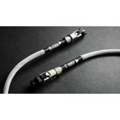 Reiki Audio RakuStream Network Cable