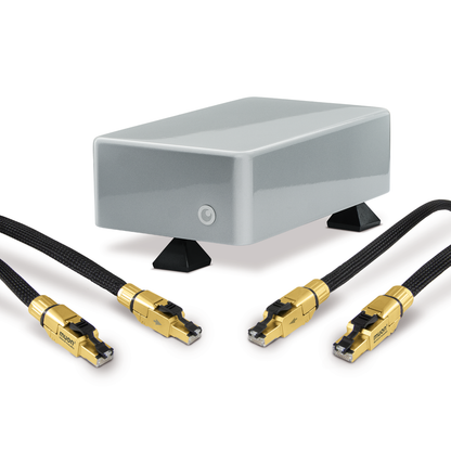 Network Acoustics Muon 2 Ethernet Filter System