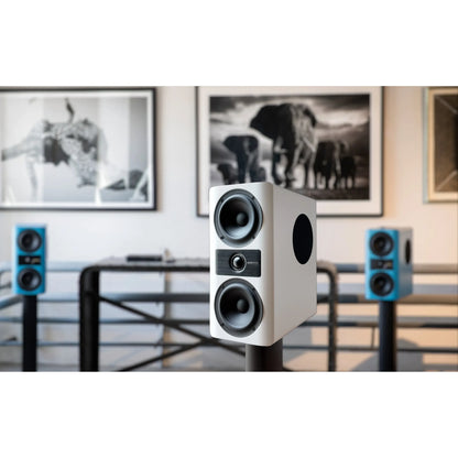 Accuvoice Stream S3 High-End Wireless Active Speaker System