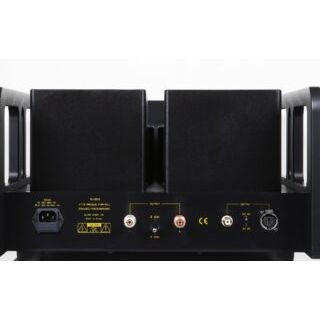 Allnic M-10000 Signature Power Amplifier (Mono Block Pair)