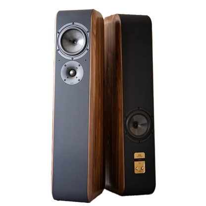 Chario Aviator Cielo Floorstanding Speaker