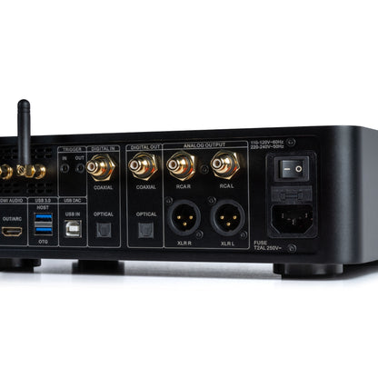 Dorpo DMP-A1 Music Streamer / DAC / Pre-Amp / Headphone Amp