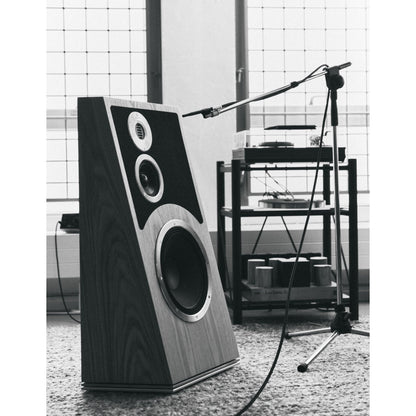 Audiovector Trapeze Ri Floorstanders