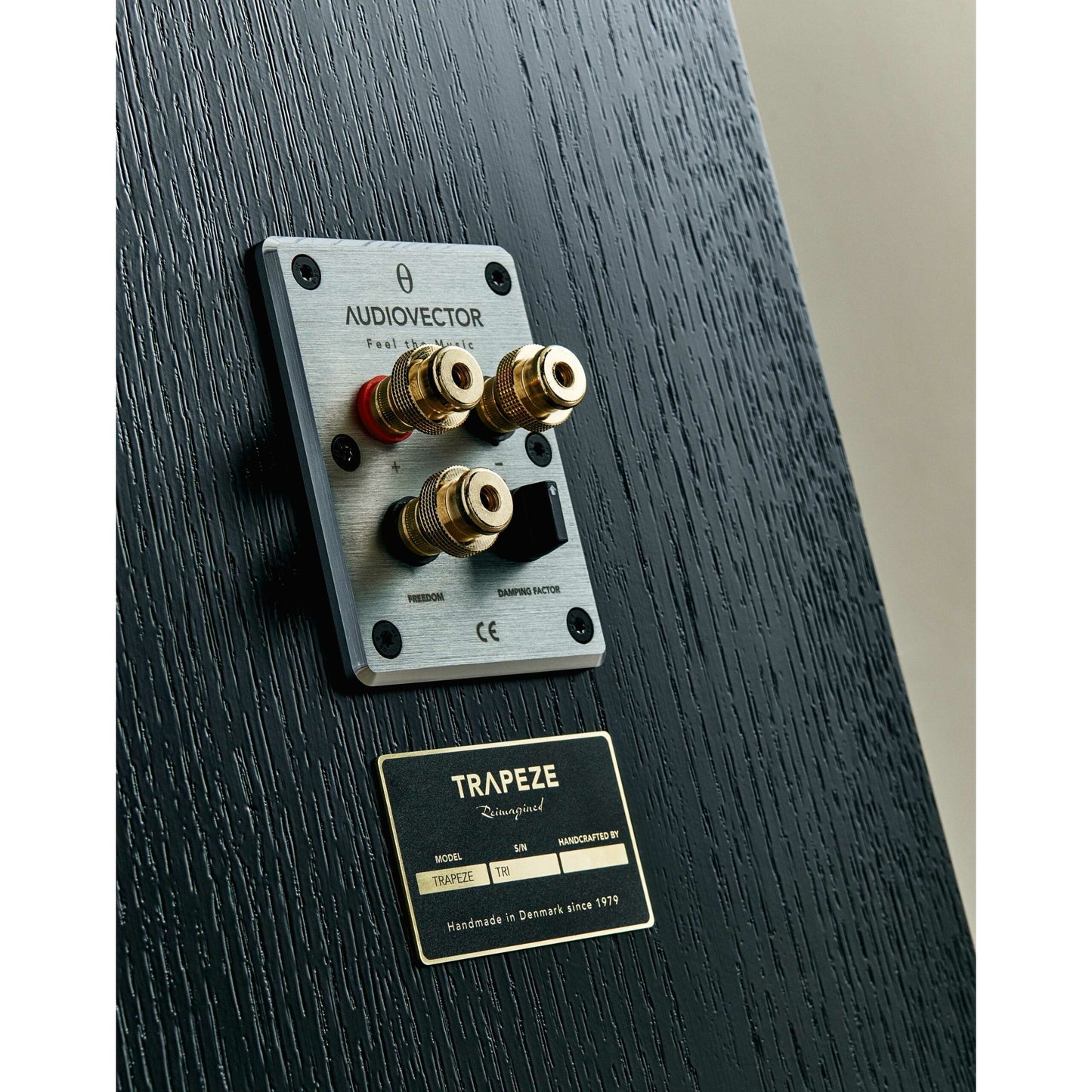 Audiovector Trapeze Ri Floorstanders