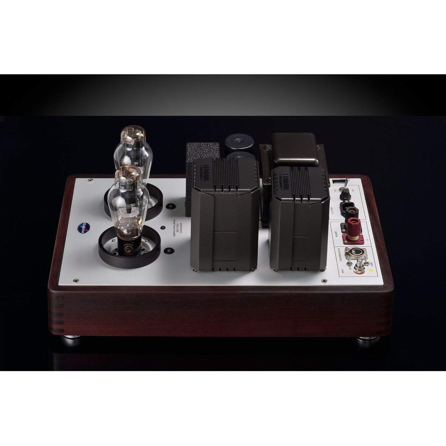 Aurorasound Pada 300B Mono Block Power Amps
