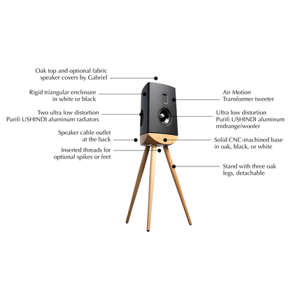 Lyngdorf Cue-100 Gabriel Loudspeaker