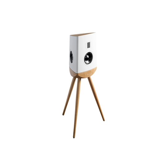 Lyngdorf Cue-100 Gabriel Loudspeaker