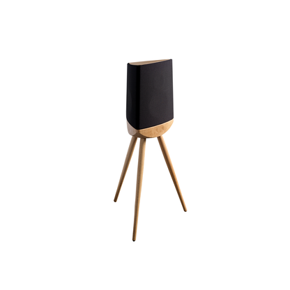 Lyngdorf Cue-100 Gabriel Loudspeaker