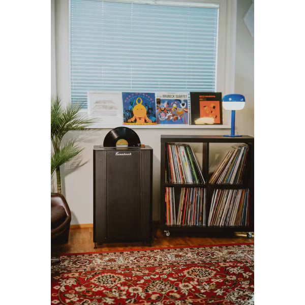 Degritter Fonoteek Ultra Sonic Record Cleaner