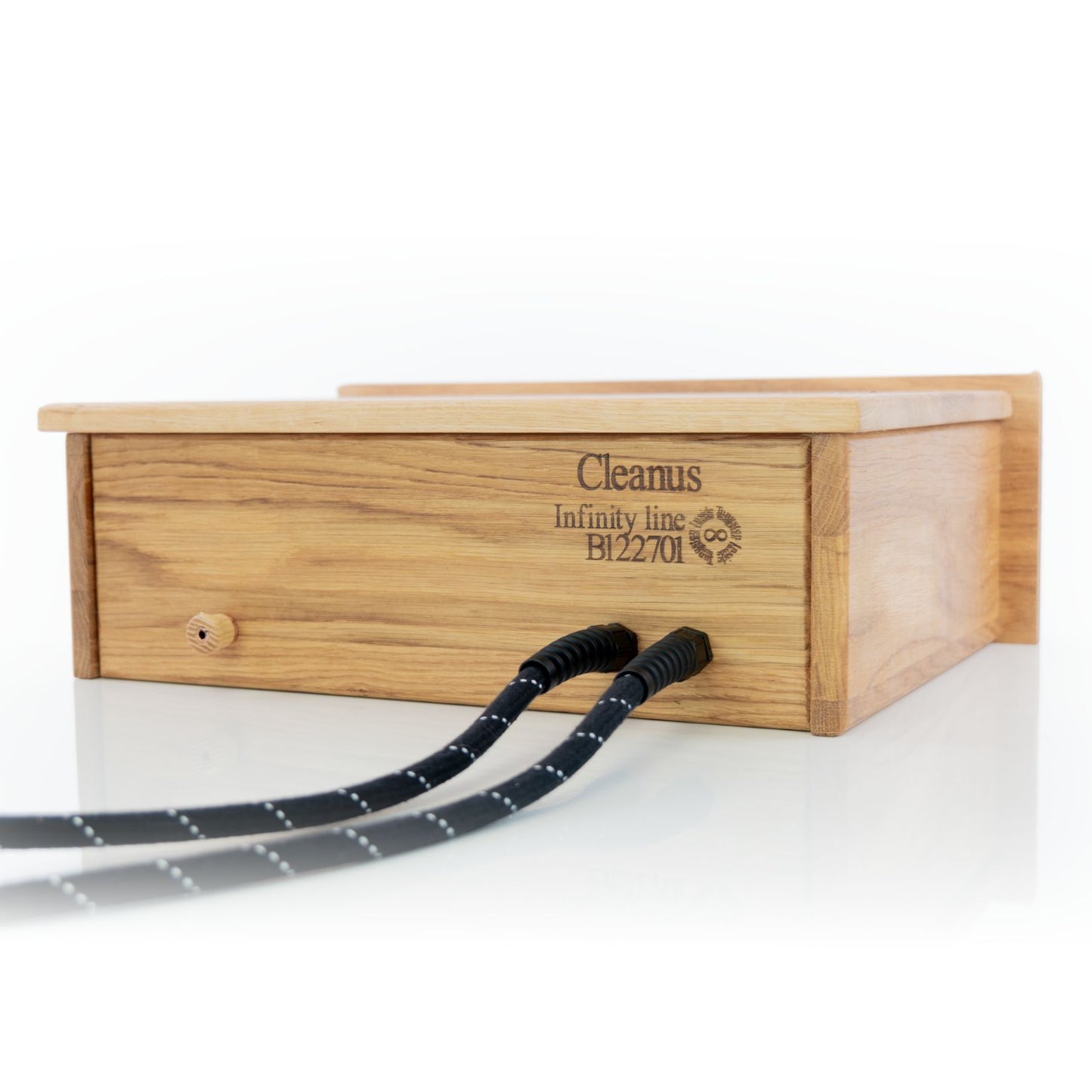 Entreq Cleanus Tungsten Mains Passive Filter
