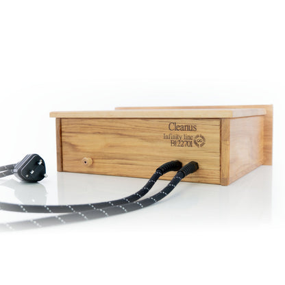 Entreq Cleanus Tungsten Mains Passive Filter