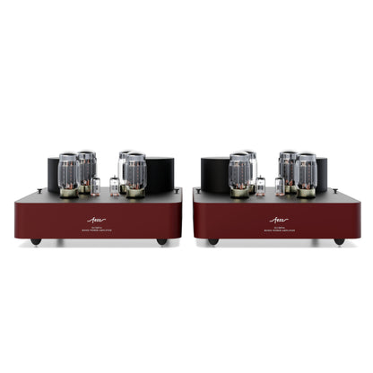 Fezz Audio Olympia EVO Mono Power Amplifier - Pair