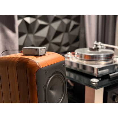 Townshend Audio Super Tweeter (Pair) - Silver