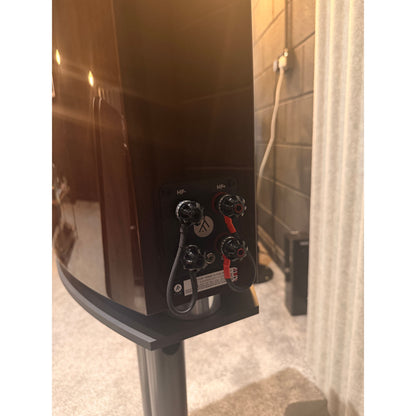 Fyne Audio F701SP Standmount Speakers (OPEN BOX Review Diaries)