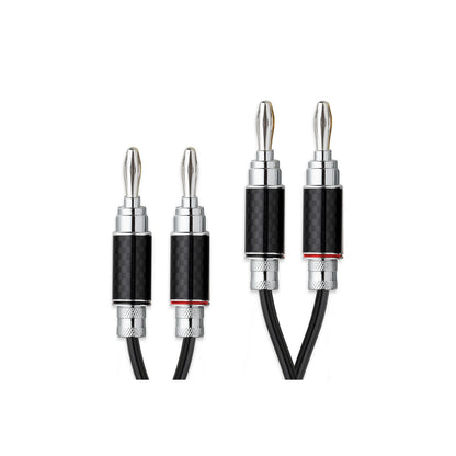 Project Connect it LS RS Speaker Cable