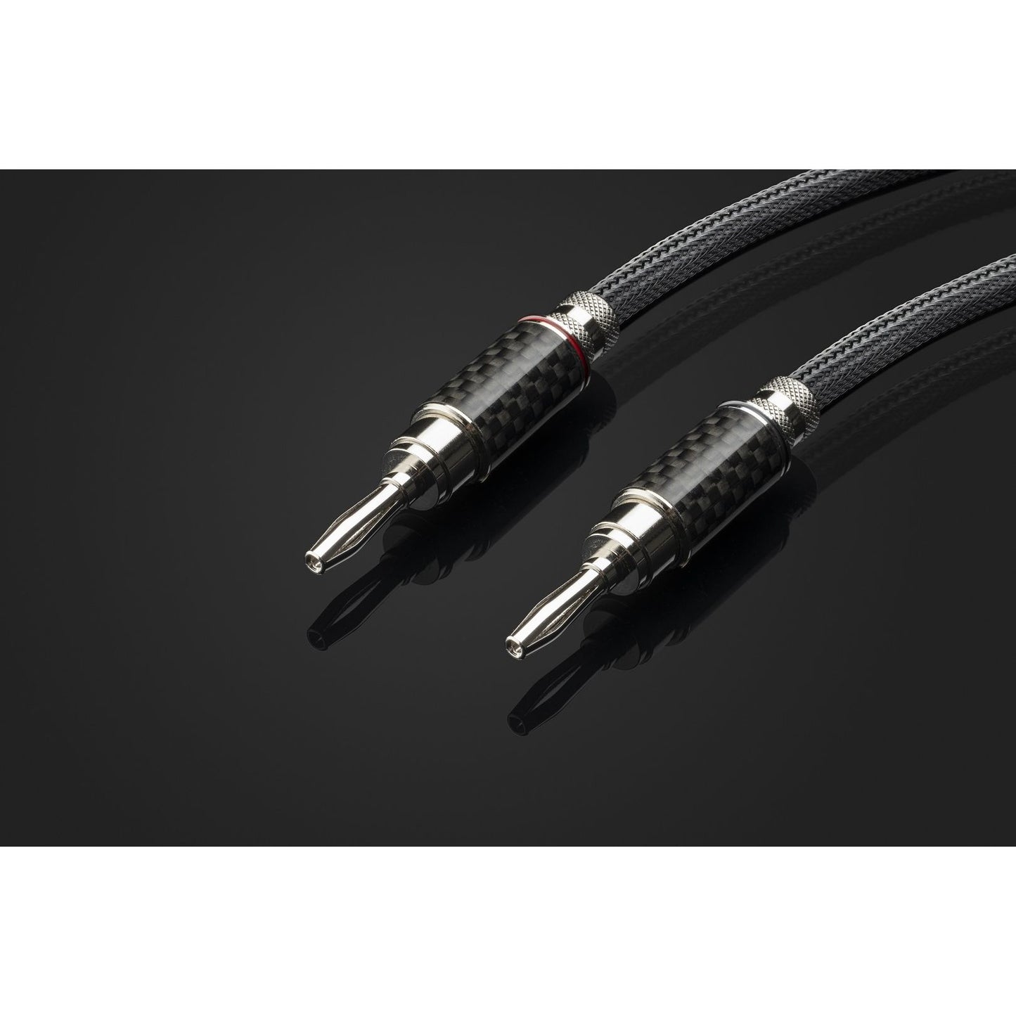 Project Connect it LS RS Speaker Cable
