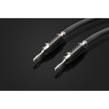 Project Connect it LS RS Speaker Cable