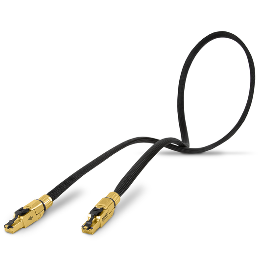 Network Acoustics Muon2 Ethernet Cable