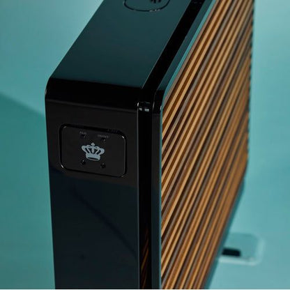 Rel Planar PL-2 Subwoofer