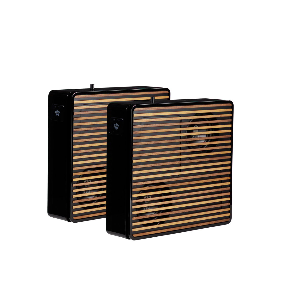 Rel Planar PL-1 Subwoofer