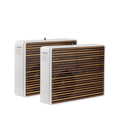 Rel Planar PL-2 Subwoofer