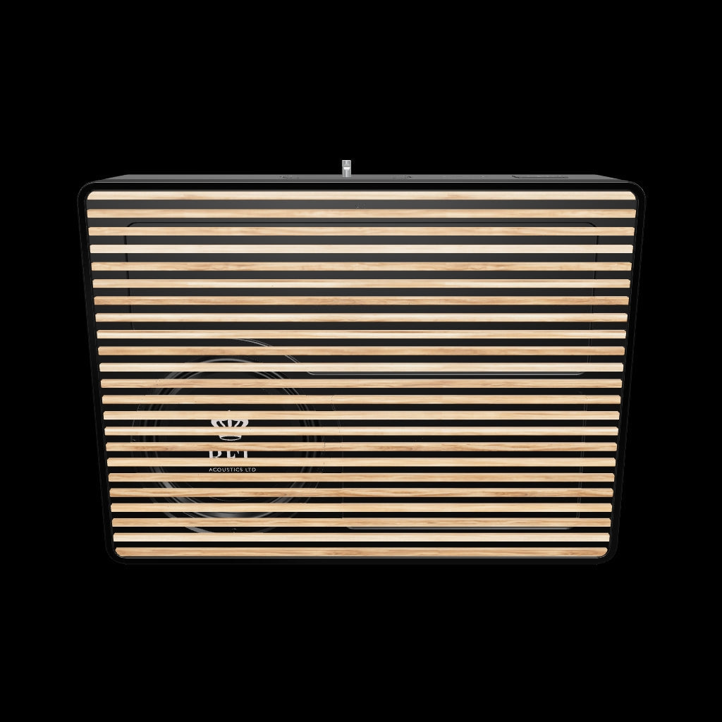 Rel Planar PL-2 Subwoofer