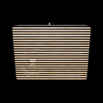 Rel Planar PL-2 Subwoofer