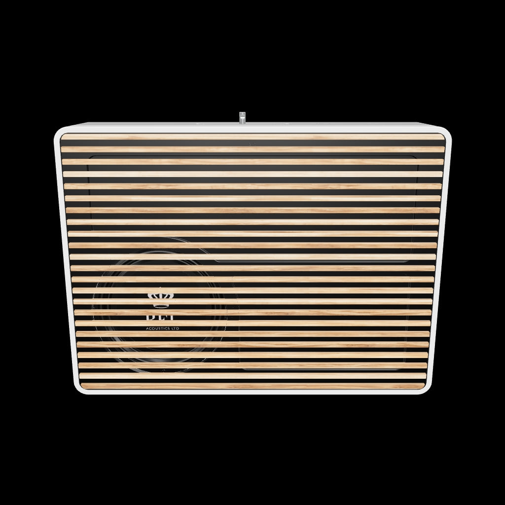 Rel Planar PL-2 Subwoofer