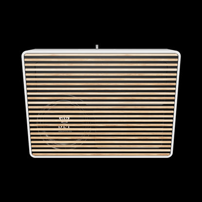Rel Planar PL-2 Subwoofer