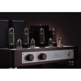 Aurorasound HFSA-02 Integrated Amplifier