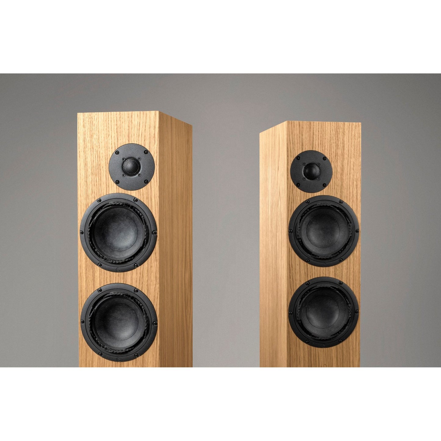 OePhi Floorstanding Speakers Transcendence 2.5