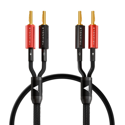 Triangle Black Mounted speaker Cable